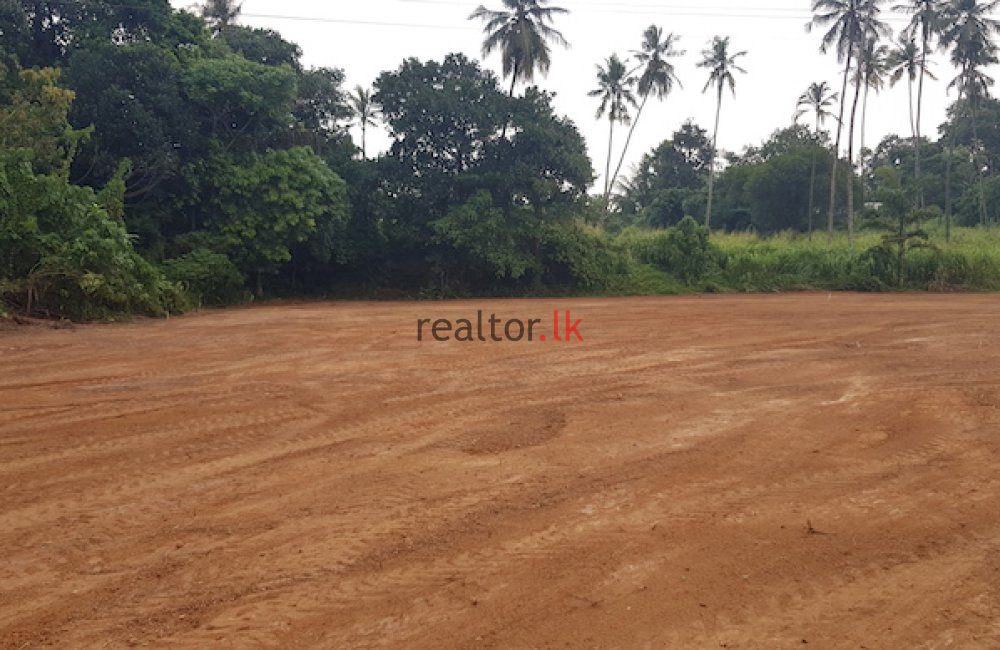 Pipe Road Land For Rent