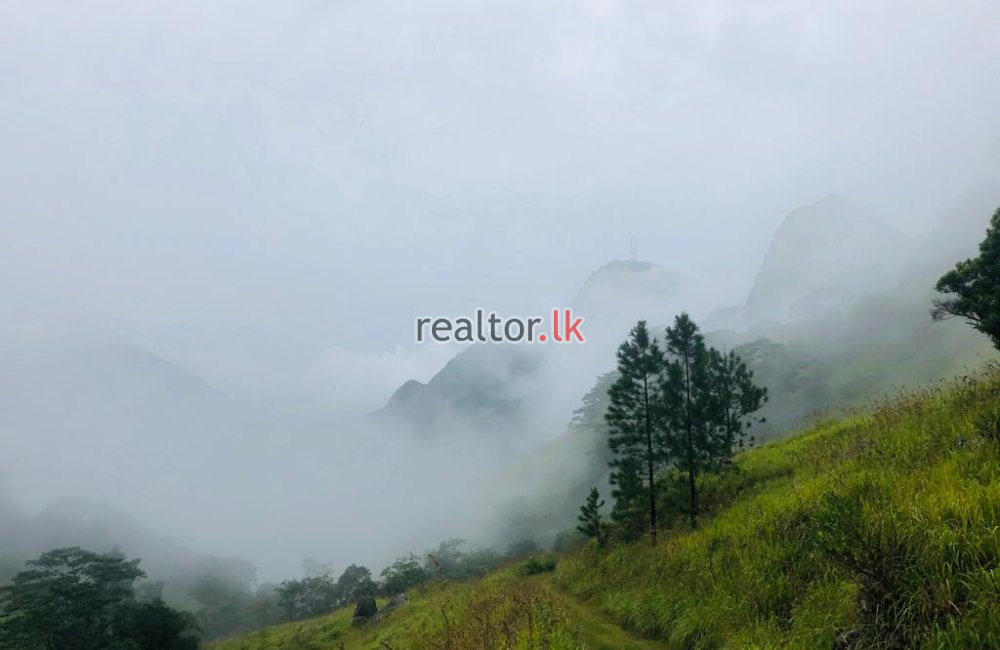 Agricultural Land For Sale At Matale