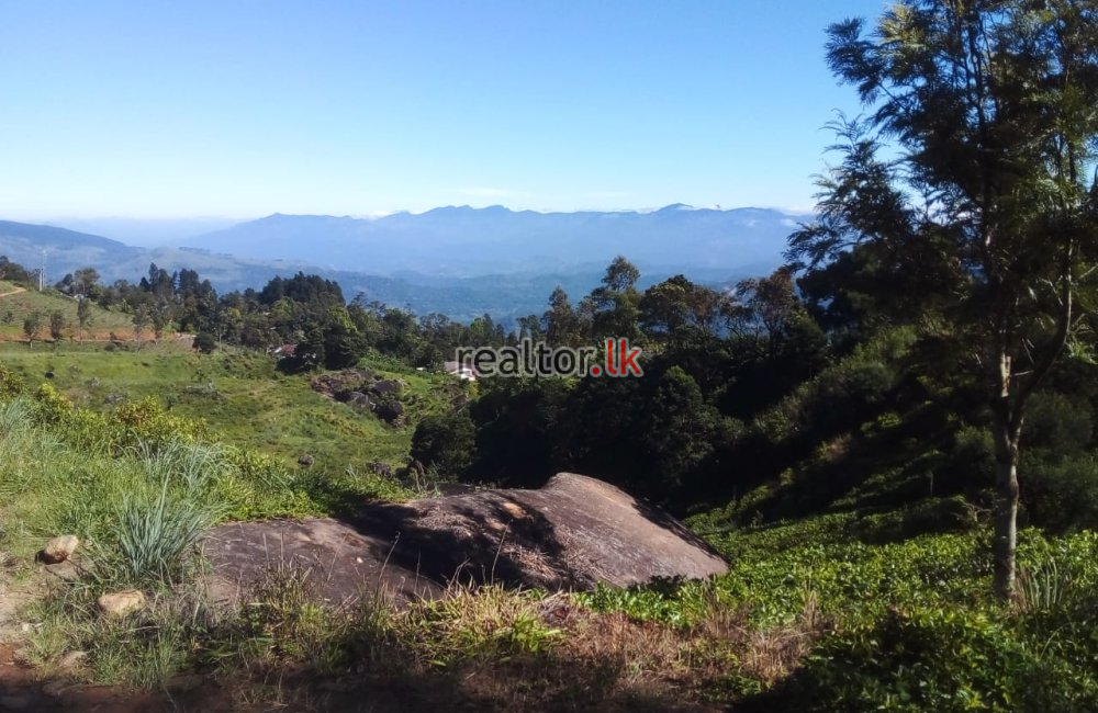 Scenic Deltota Tea Estate Property For Sale