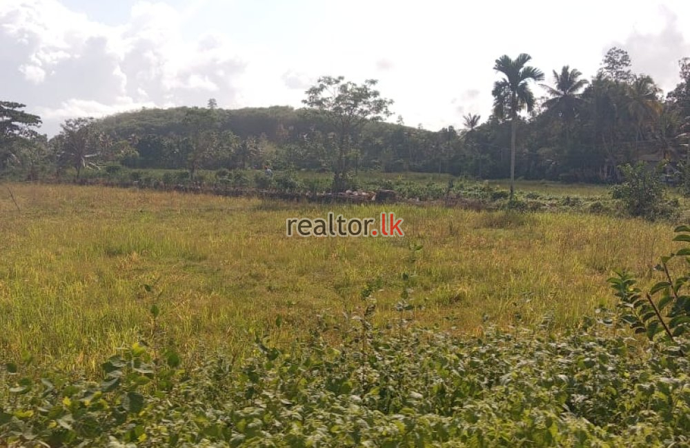 Prime Land For Sale In Ahangama