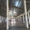 Nedimala Warehouse For Sale
