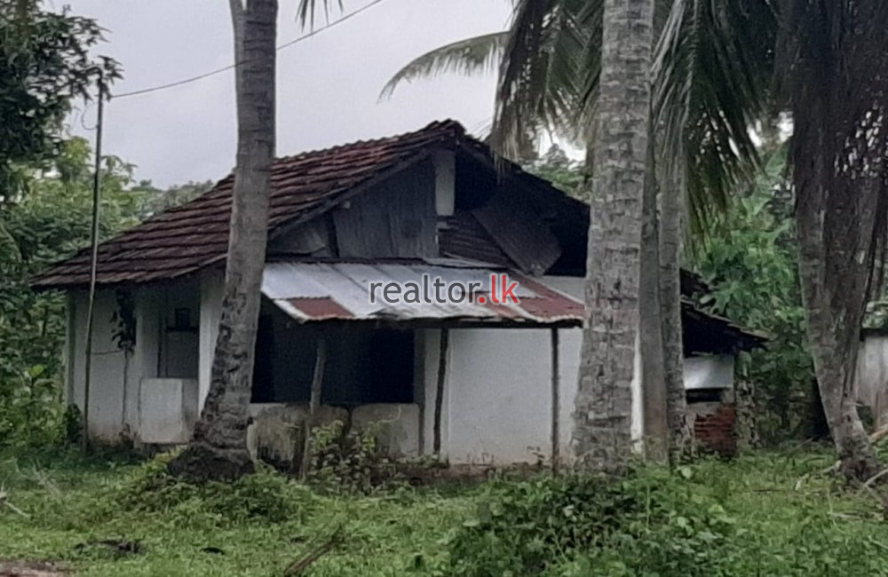 Coconut Estate For Sale At Dankotuwa