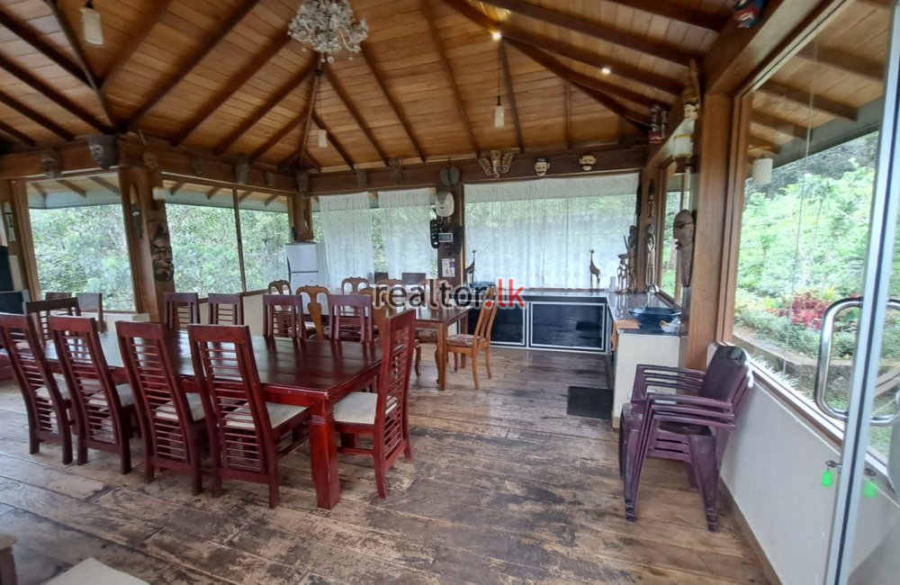 Tea Estate With Bungalow For Sale In Wattegama