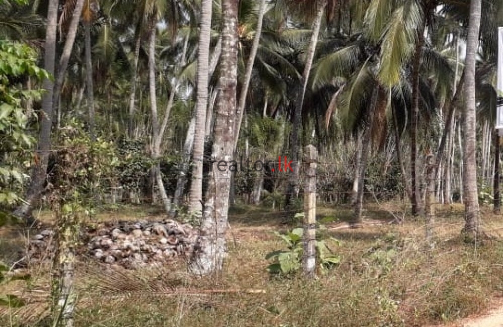 Negombo Road Land For Sale