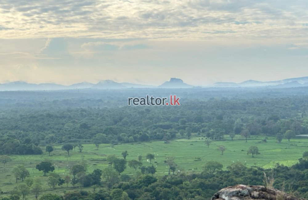 Lake Front Luxury Villa For Sale Habarana Forrest