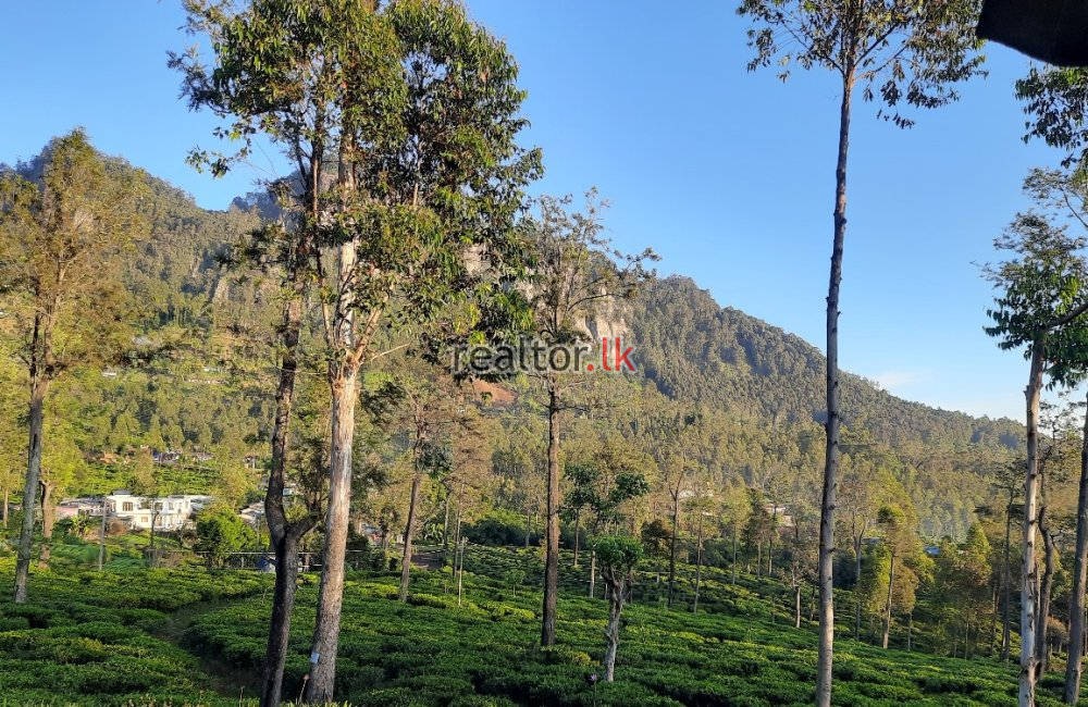 Land For Sale In Diyanilla Ragala