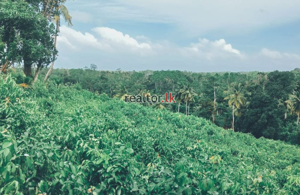 Land For Sale At Ahangama Galle