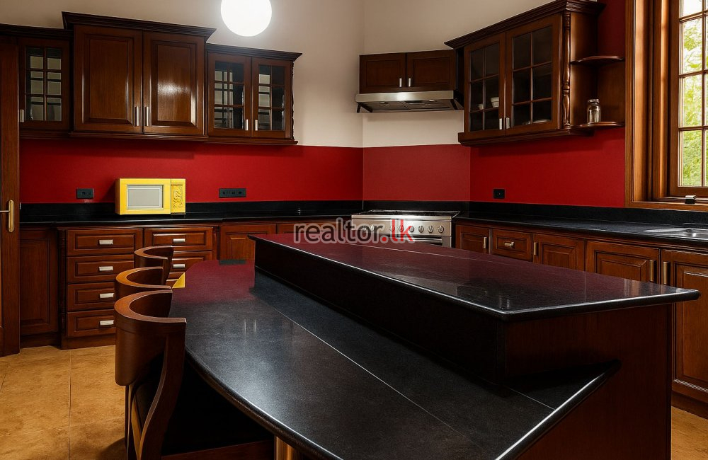 Grand House For Rent In Colombo 3