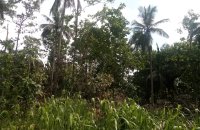 Land For Sale In Melsiripura Kurunegala