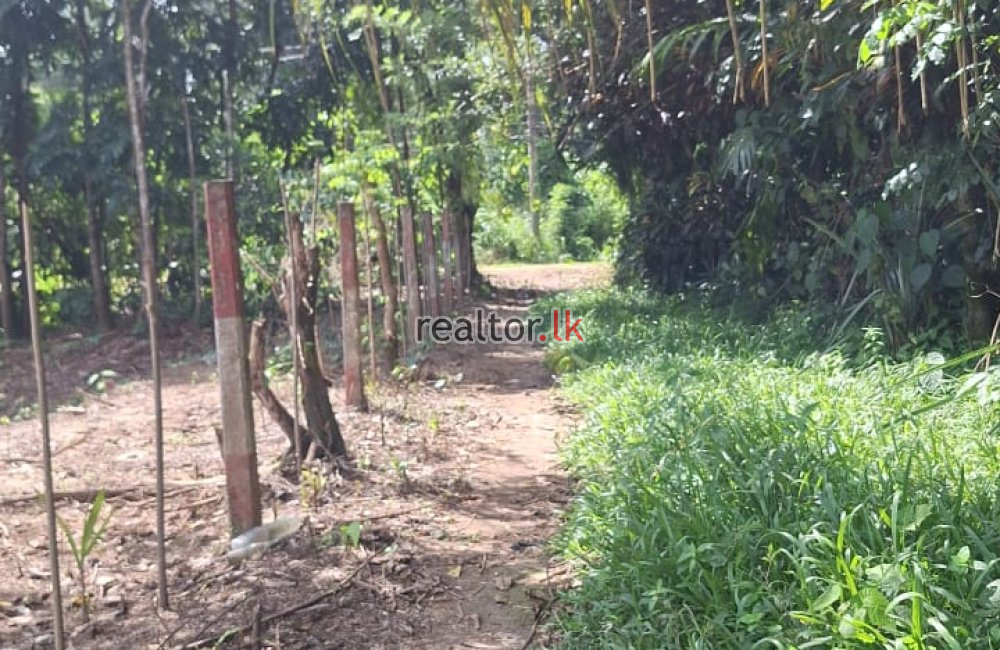 Rubber Estate For Sale At Pahala Naragala Horana
