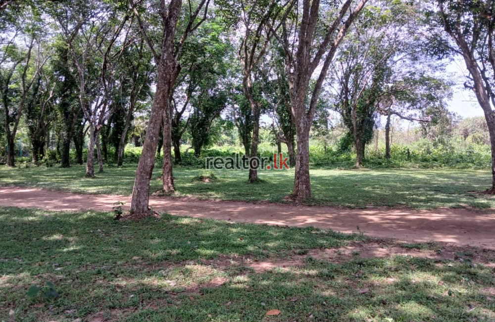 Lakefront Land For Sale In Mahabellana Panadura