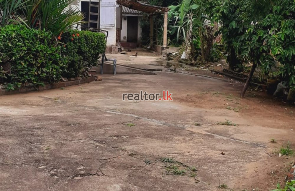 Land For Sale At De Soysa Avenue