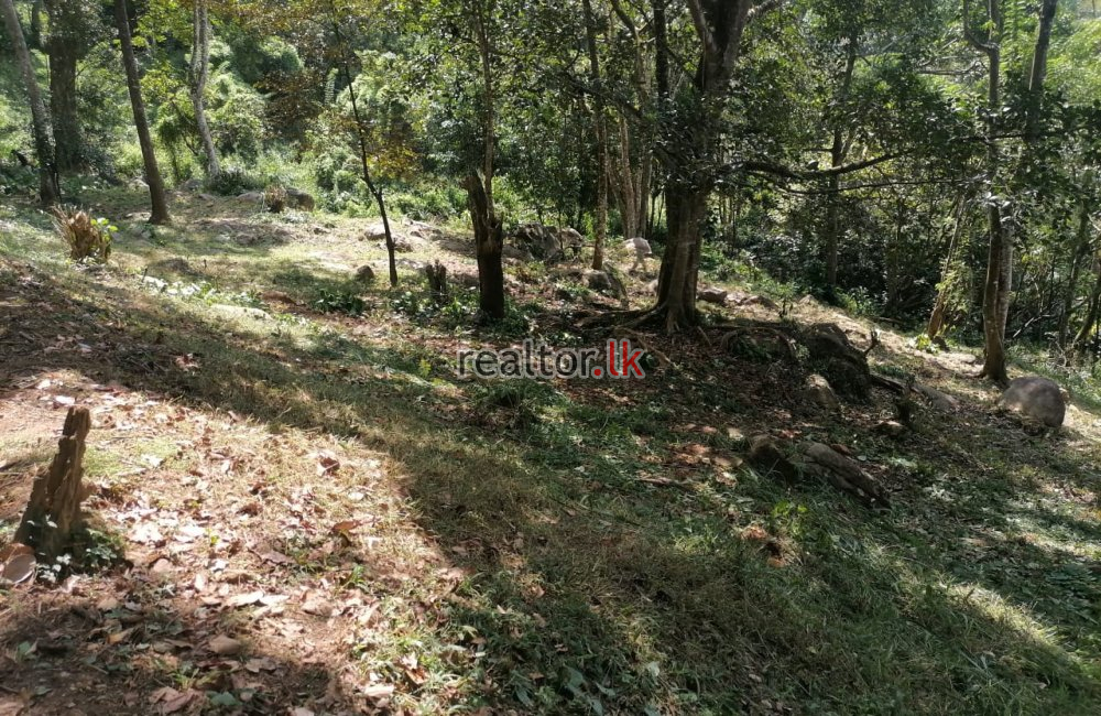 Land With Bungalow For Sale In Bowalawatta Kandy