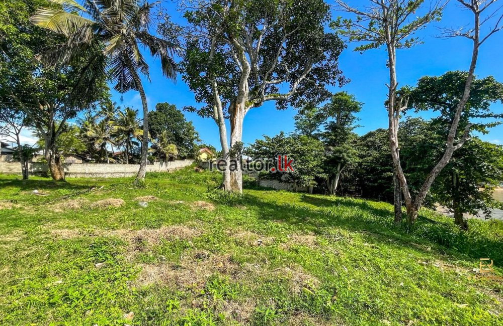 Rare Headland Property For Sale South Coastline