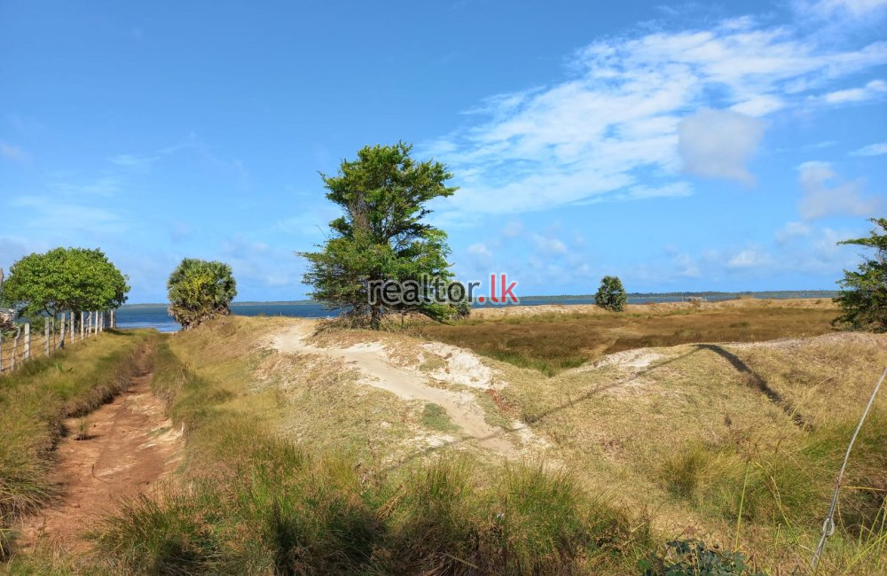 Lagoonview Land For Sale In Mundel Puttalam