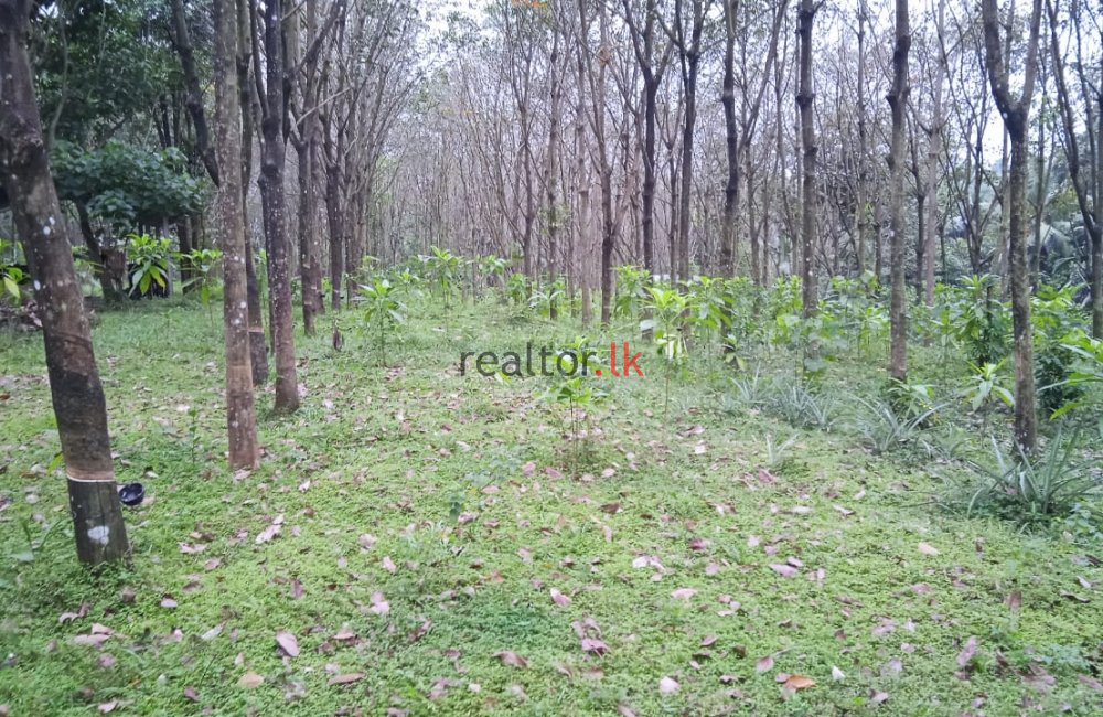 Pugoda Road Land For Sale