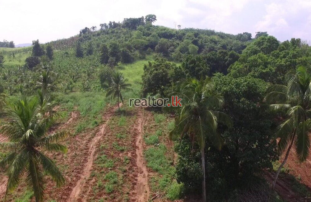 Agriculture Land For Sale At Embilipitiya