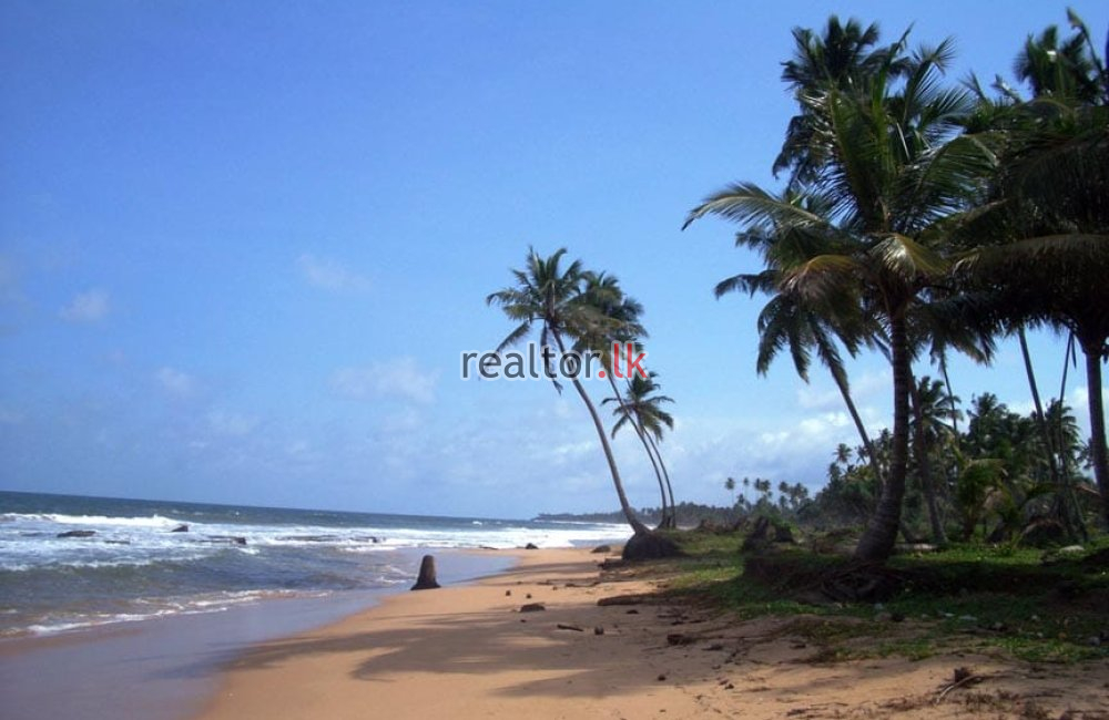 Beachfront Land For Sale In Kosgoda Galle