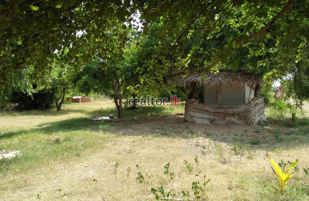 Seaview Land For Sale In Nilaveli