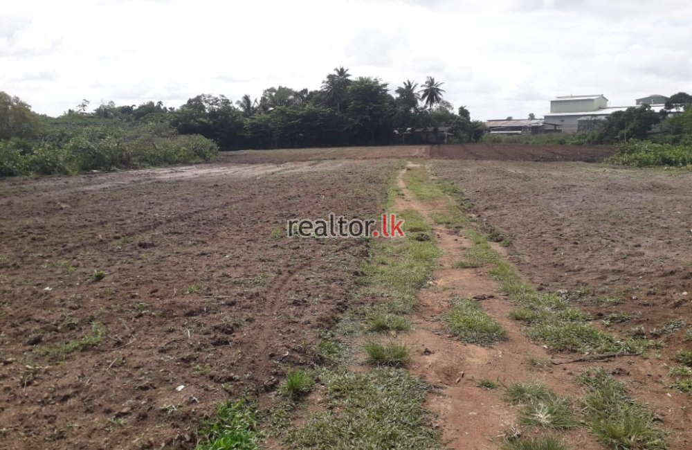 Milleniya Rd Land For Sale