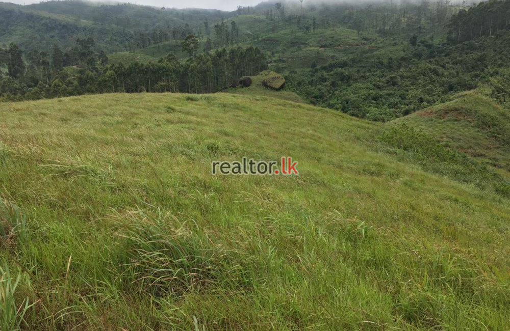 Land For Sale In Nawalapitiya