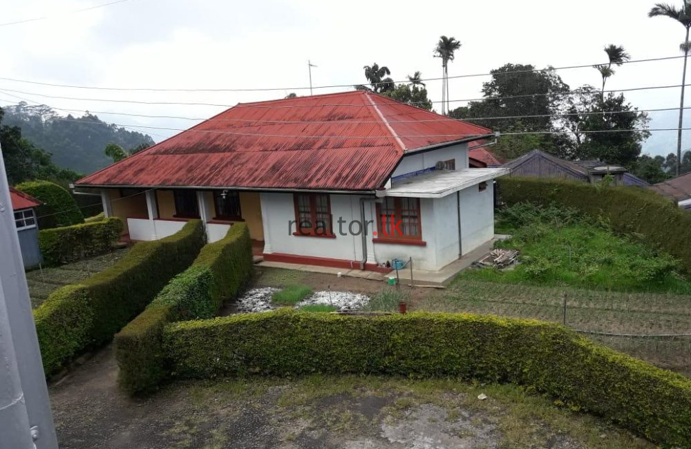 Teldeniya Tea Estate For Sale