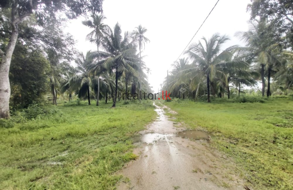 Sangattikulama Land For Sale