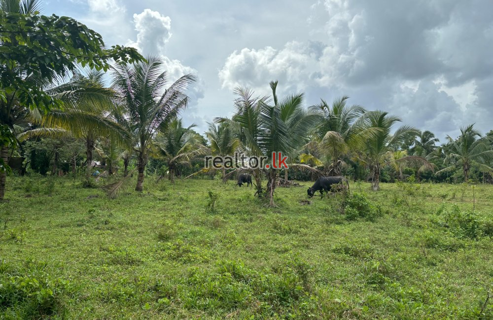 Bare Land For Sale In Kaduwela