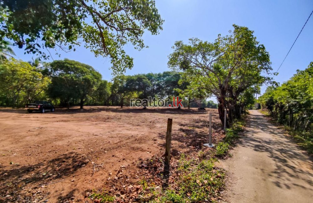 Oceanfront Land For Sale In Ranna