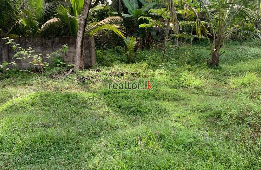 Prime Land For Sale Facing Galle Rd Hikkaduwa