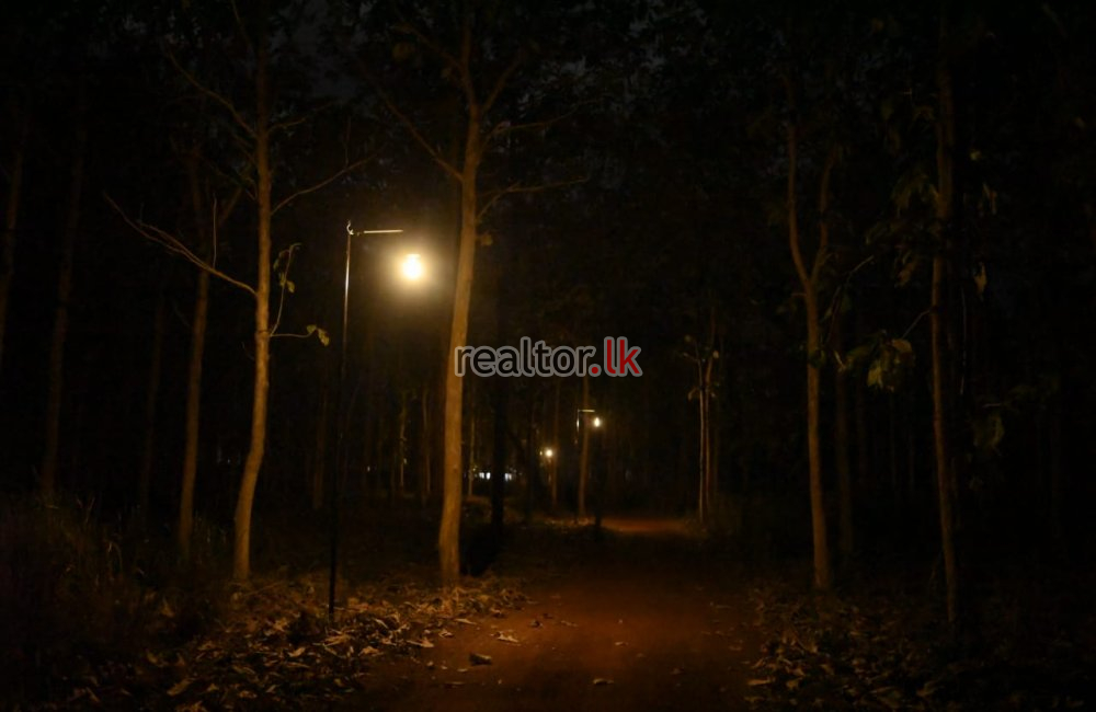 Adventure Resort For Sale In Andigama Forest
