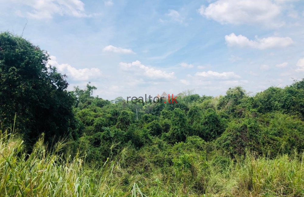 Thalkote Land For Sale