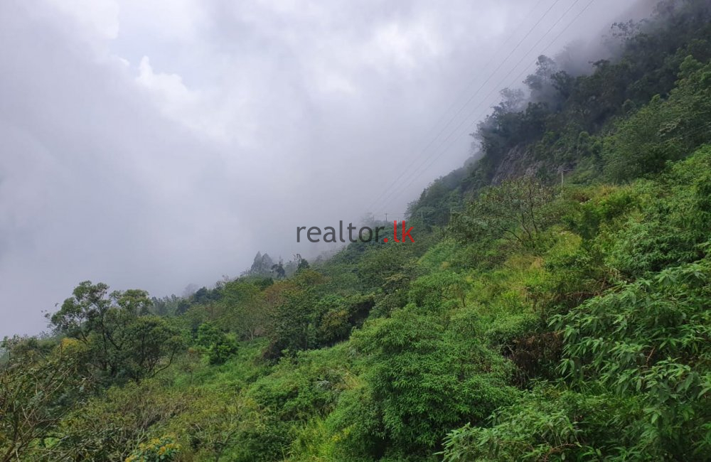 Haputale Land For Sale