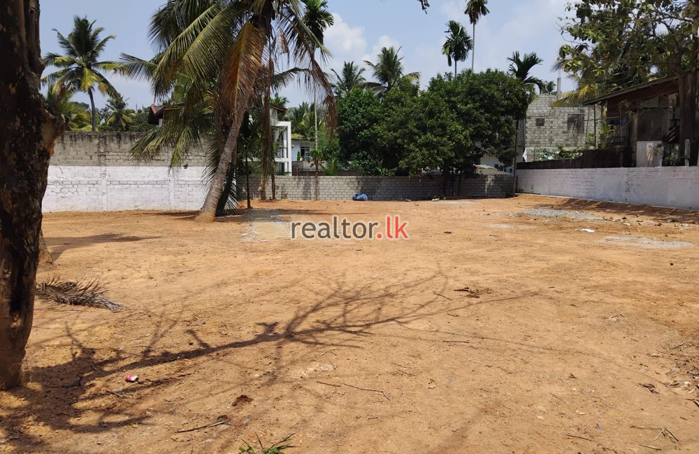 Land For Sale In Nugadeniya Kandy