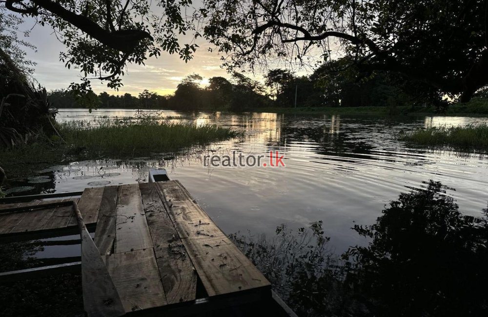 Lake Front Luxury Villa For Sale Habarana Forrest