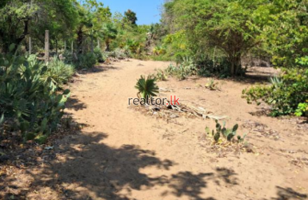 Beachfront Land For Sale In Panichankerny
