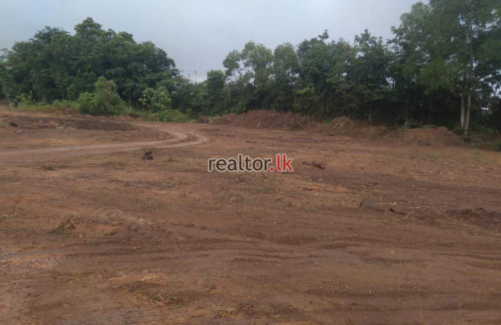 Land For Sale In Weliweriya Gampaha