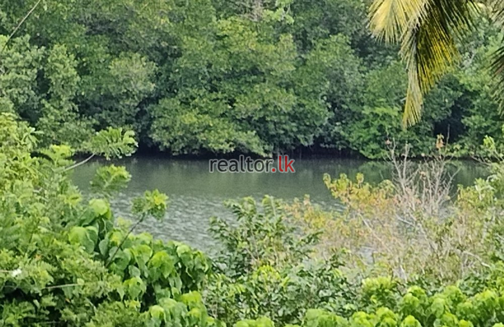 Land For Sale At Facing Koggala Lake