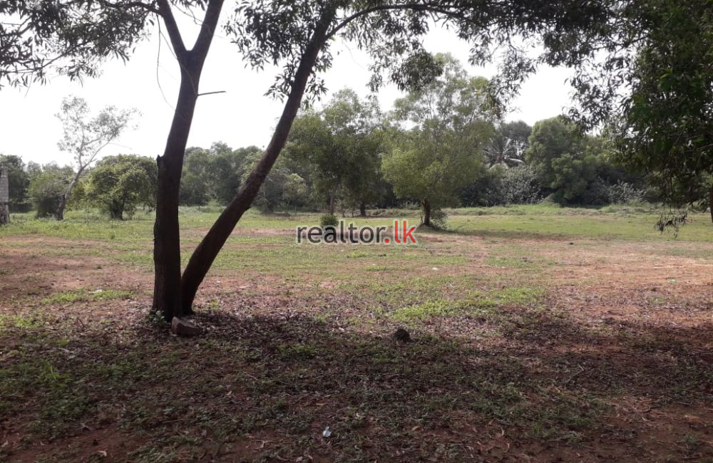 Gampaha Rd Land For Sale