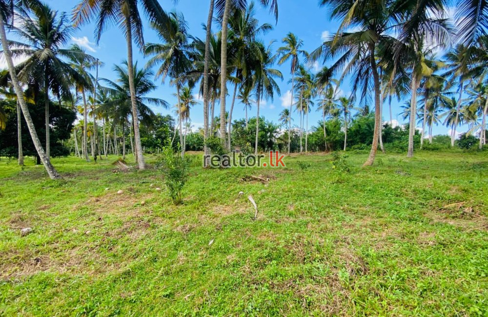 Land For Sale In Dikkumbura Road Ahangama