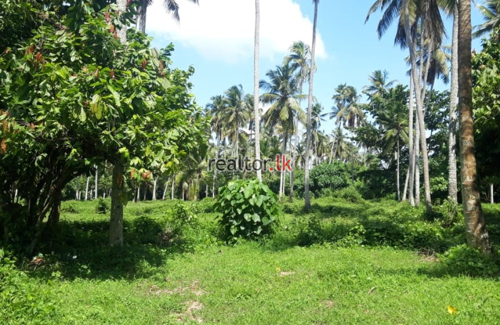 Land For Sale At Parliament Rd