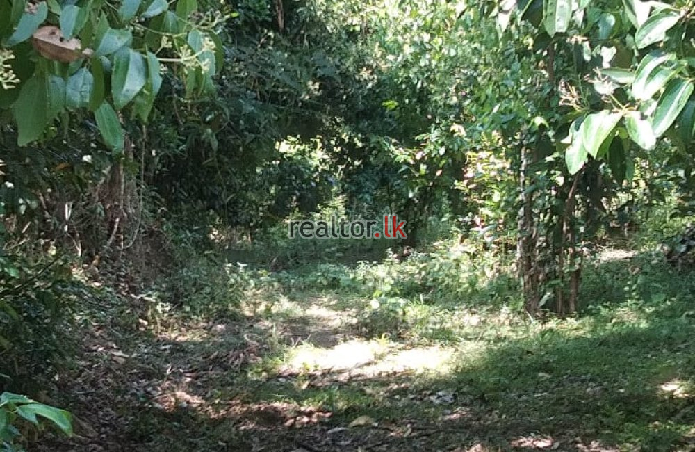 Facing Koggala Lake Land For Sale