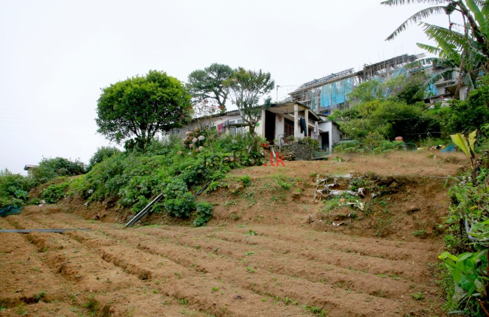 Land At Abayapura 1st Lane