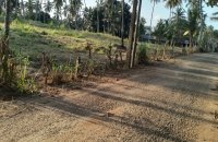 Industrial Land For Sale At Weliweriya Gampaha