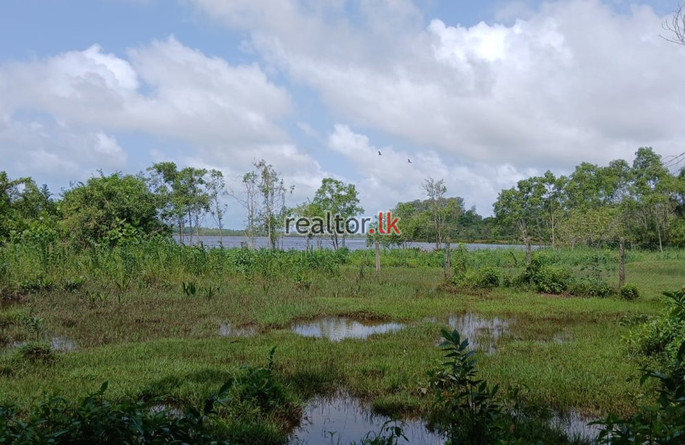 Lakefront Land For Sale In Mahabellana Panadura