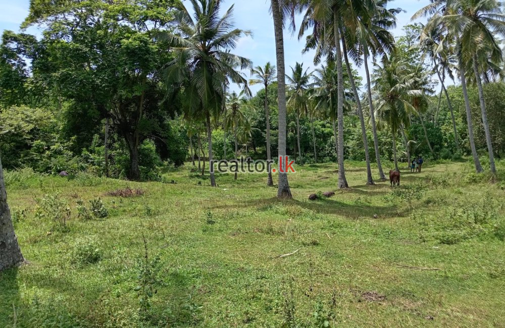 Land For Sale At Unawatuna Dalawella