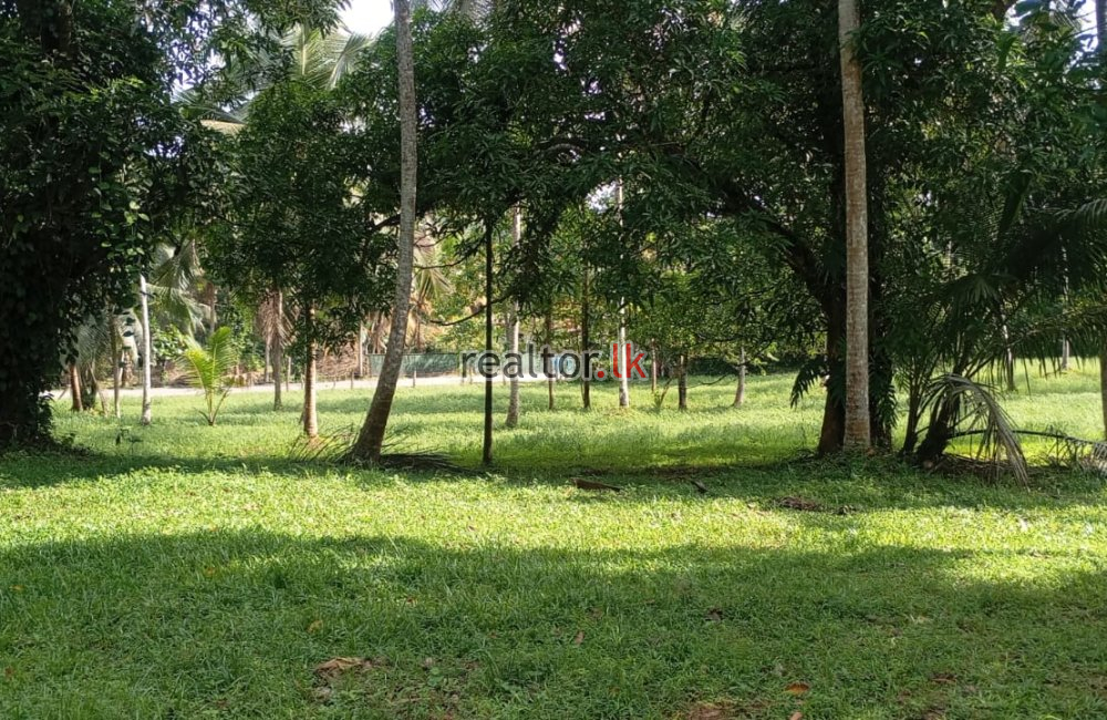Land For Sale Facing Poruwadanda Rd Horana