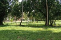 Land For Sale Facing Poruwadanda Rd Horana
