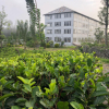 Nuwara Eliya Tea Estate For Sale
