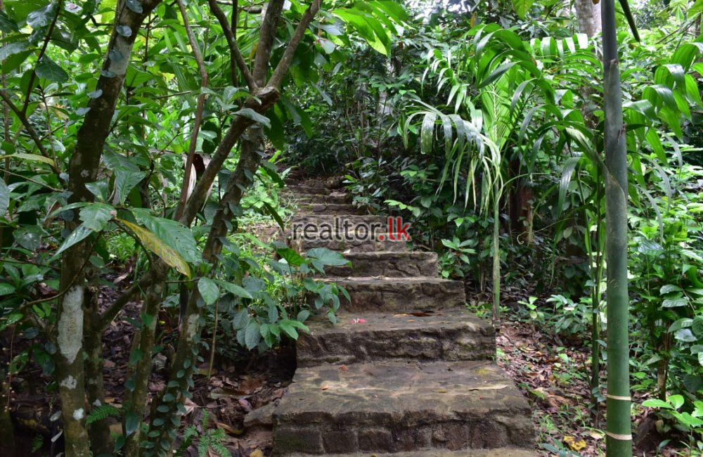 Riverside Villa For Sale In Kitulgala
